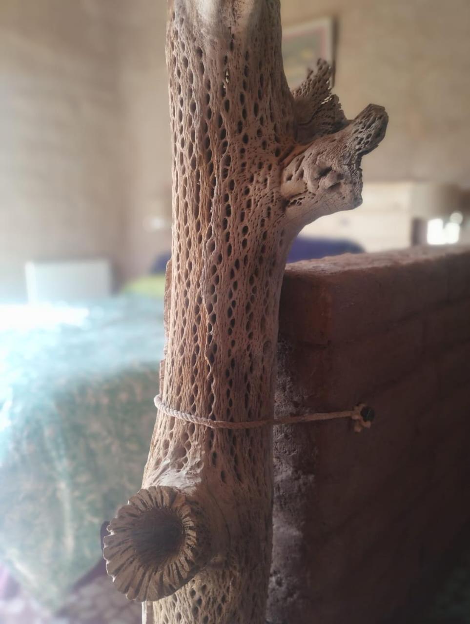 Las Ranas 蒂尔卡拉 外观 照片